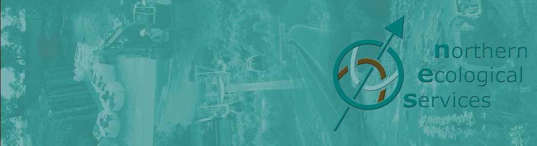 Northern Ecological Services