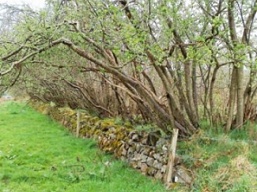 Blairs College Development Blairs College Development