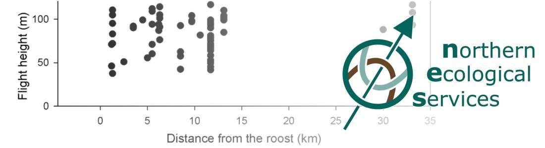Northern Ecological Services
